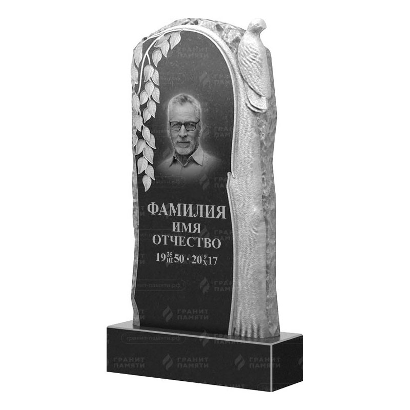 Гранитные памятники в&nbsp;Чебоксарах | Гранитный памятник ФГ-206