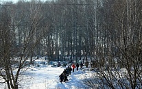 Альгешевское кладбище